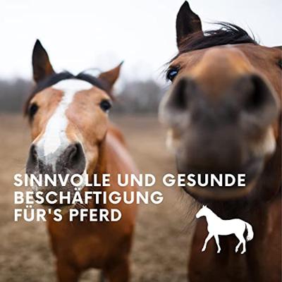 Lax Luzerne blok met gat Paard 3kg