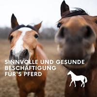 Lax Luzerne blok met gat Paard 3kg - thumbnail