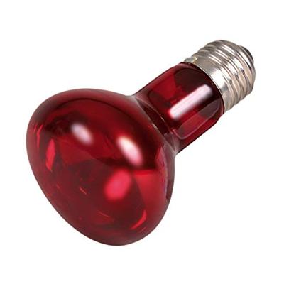 TRIXIE REPTILAND INFRAROOD WARMTELAMP 6,3X6,3X10 CM 35 WATT 3 ST