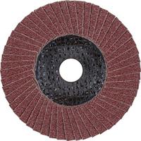 PFERD TOOLS 67608100 PFF 100 A 80 SG STEELOX/16,0 Lamellenschijf Diameter 100 mm Boordiameter 16 mm RVS, Staal 10 stuk(s) - thumbnail