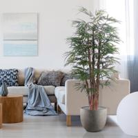 Raphis kunstpalm 190cm - thumbnail