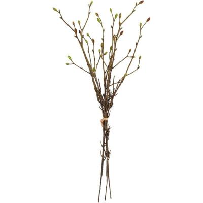 Kunsttak Tilia