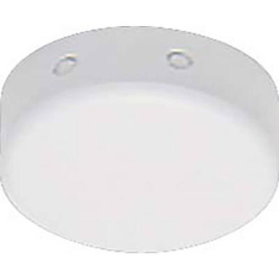 RIDI 0201636 Plafonduitgang 1 stuk(s)