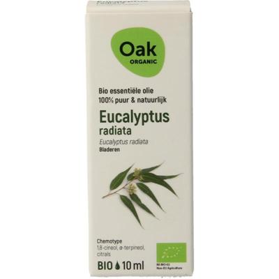 Oak Organic Eucalyptus Radiata Olie