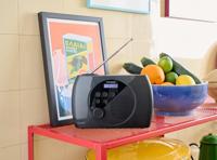 FM-radio - THOMSON - DAB - Grijs en zwart - thumbnail