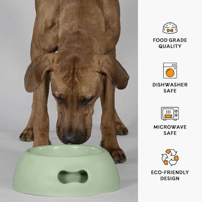 Voerbak voor honden United Pets Pappy 350 ml Groen Polypropyleen