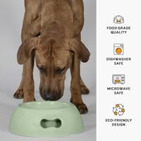 Voerbak voor honden United Pets Pappy 350 ml Groen Polypropyleen - thumbnail