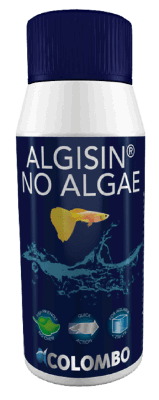 Colombo No algae 100ml