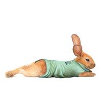 Medical Pet Shirt Konijngroen XS - thumbnail