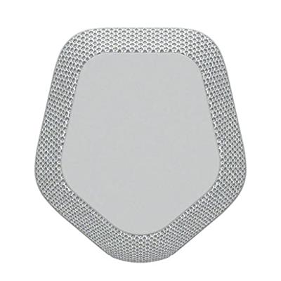 Sony SRS-XE300 Bluetooth Speaker Lichtgrijs