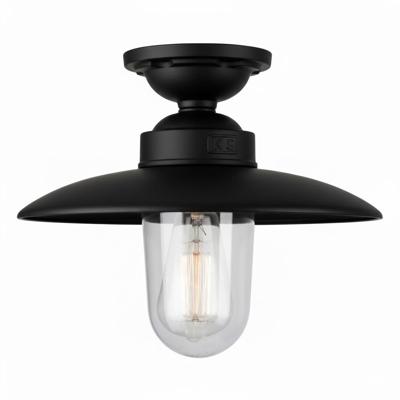 Solingen Plafondlamp Matzwart