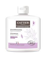 Cattier Shampoo Bamboe Extract - thumbnail
