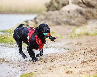 CHUCKIT AMPHIBIOUS BAL - thumbnail