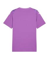 PUMA teamULTIMATE Voetbalshirt Paars - thumbnail