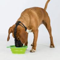 TRIXIE MUILKORF MUZZLE FLEX SILICONE ZWART M 21X24 CM - thumbnail