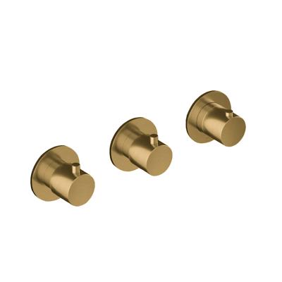 Hotbath Cobber - Afbouwdeel voor Inbouw Douchethermostaat - 2 Stopkranen - Geborsteld Messing Pvd - V01