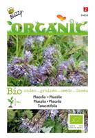 Phacelia, Bijenvoer (BIO) - thumbnail