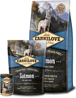 Carnilove salmon adult