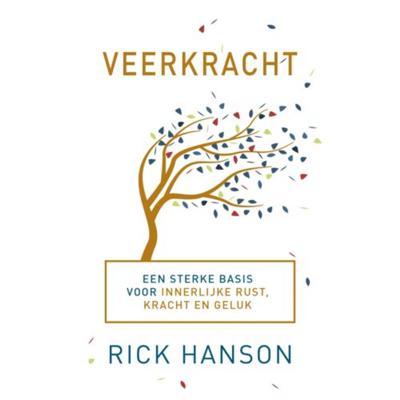 Veerkracht (Paperback)