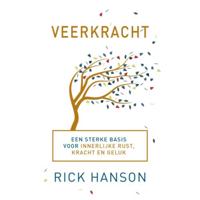 Veerkracht (Paperback) - thumbnail
