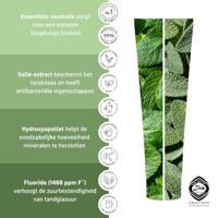 Ecodenta Tandpasta Brilliant Whitening - thumbnail