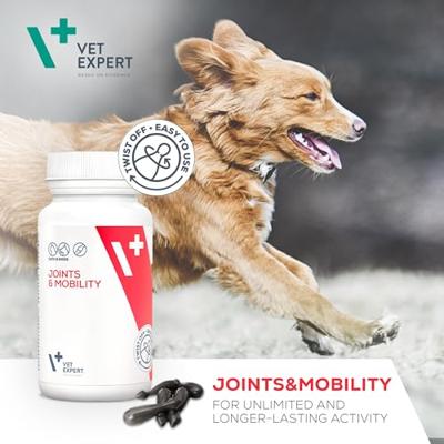 VET EXPERT Joints & Mobility - gewrichtsondersteuningspreparaat voor honden en katten - 30 capsules. VET EXPERT Joints & Mobility - gewrichtsondersteuningspreparaat voor honden en katten - 30 capsules.