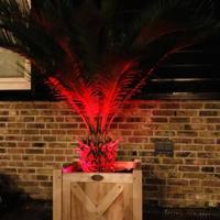 Lyora Set van 3 RGB LEDBatterij lamp set ook voor onderwater - 27124 - thumbnail