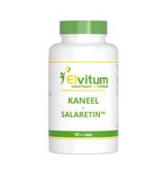 Elvitum Kaneel met salaretin 90 Vegetarische capsules - thumbnail
