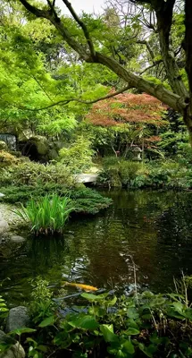 Alexsar Art Tuinschilderij vijver 130x70cm