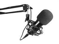 Omnitronic BMS-1C USB-microfoon Statief Zendmethode:Kabelgebonden Incl. shockmount, Incl. kabel, Incl. standaard USB Kabelgebonden - thumbnail