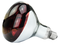 Hard Glas Lamp 250 W - Rood - thumbnail