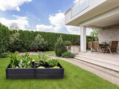 KHW Kweekbak (336 L, L) KHW Kweekbak (336 L, L)