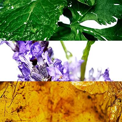 Davidoff Cool Water Man Deo Stick 70 g Deodorant Heren Davidoff Cool Water Man Deo Stick 70 g Deodorant Heren