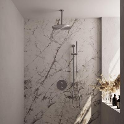 Brauer Brushed Carving Thermostatische Regendoucheset Inbouw - Hoofddouche 30 cm - 3 Weg - Handdouche Rond - Doucheslang - Geintegreerde Glijstang - Rvs