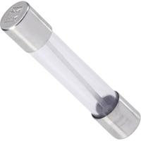 ESKA 140027 Buiszekering (Ø x l) 6.3 mm x 32 mm 10 A 32 V Snel -F- Inhoud 1 stuk(s) - thumbnail