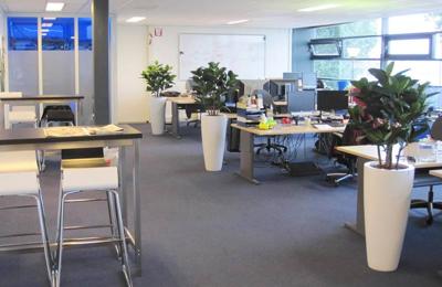 Elastica Robusta kunstplant 90cm - groen