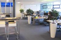 Elastica Robusta kunstplant 90cm - groen - thumbnail