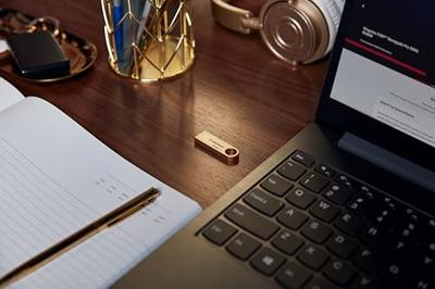 USB stick Kingston DataTraveler SE9 G3 256 GB Gouden
