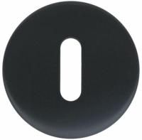 Formani LBN50D BASICS sleutelplaatje pvd gunmetal - thumbnail