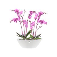 Elho brussels diamond bloempot ovaal 36 cm wit - thumbnail