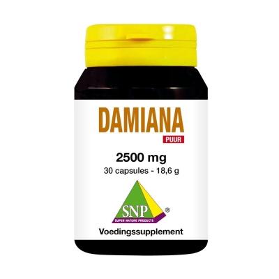 Damiana extract 2500mg puur 30 Vegetarische capsules Damiana extract 2500mg puur 30 Vegetarische capsules