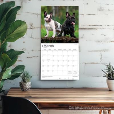 Franse Bulldog Kalender 2026