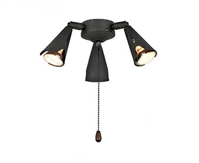 CasaFan 5-II GR 3 STRAHLER Lamp voor plafondventilator