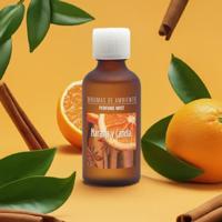Geurolie Brumas de ambiente 50 ml Naranja y Canela Boles d'olor - Boles d olor - thumbnail