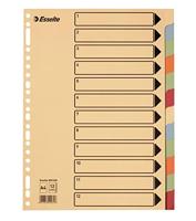 Tabbaden esselte premium a4 12dlg karton 23r ass - thumbnail