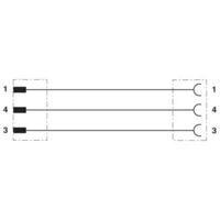 Phoenix Contact 1698097 Sensor/actuator connector, geassembleerd M8 Aantal polen (sensoren): 3 Stekker, recht, Bus, recht 2.00 m 1 stuk(s) - thumbnail