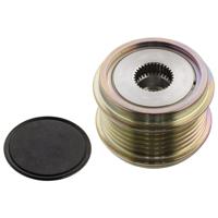 Dynamovrijloop 101756 - thumbnail