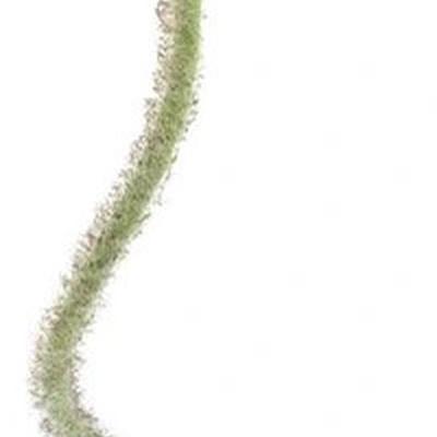 Poppy spray Ilse orange 69 cm kunstbloem Erutan Avon - Erutan avon