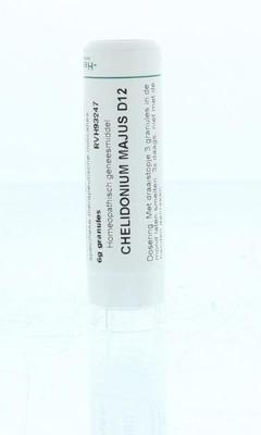 Homeoden Heel Chelidonium majus D12 6 Gram