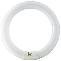 Philips Ronde TL 22W/840 TLE coolwhite Philips 5900609 - thumbnail